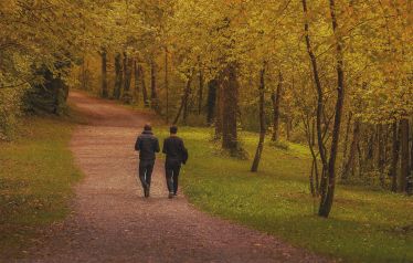 Spaziergang im Wald mit Kollegen